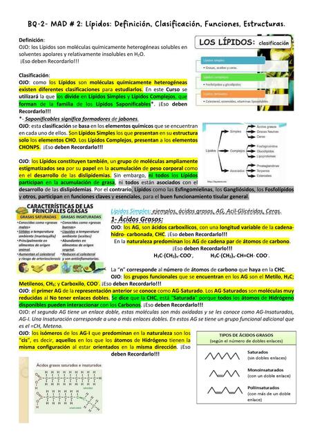 Lípidos: Definición, Clasificación, Funciones, Estructuras