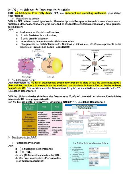 Sistemas de Transducción de Señales