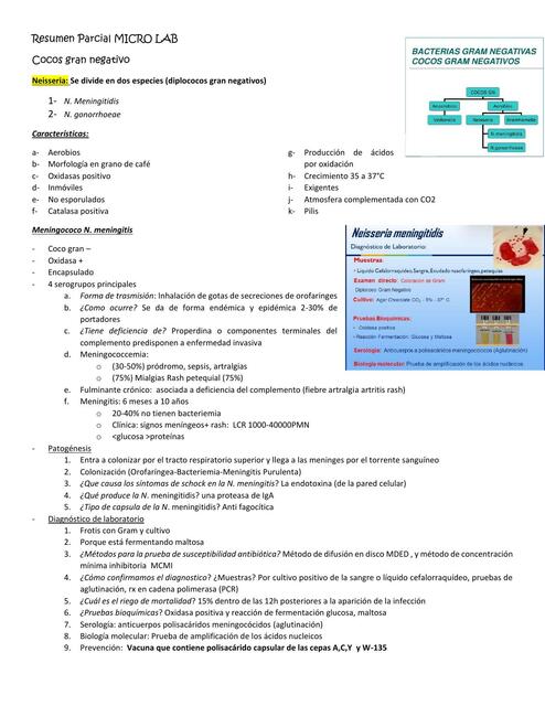 Resumen Cocos Gram Negativos 