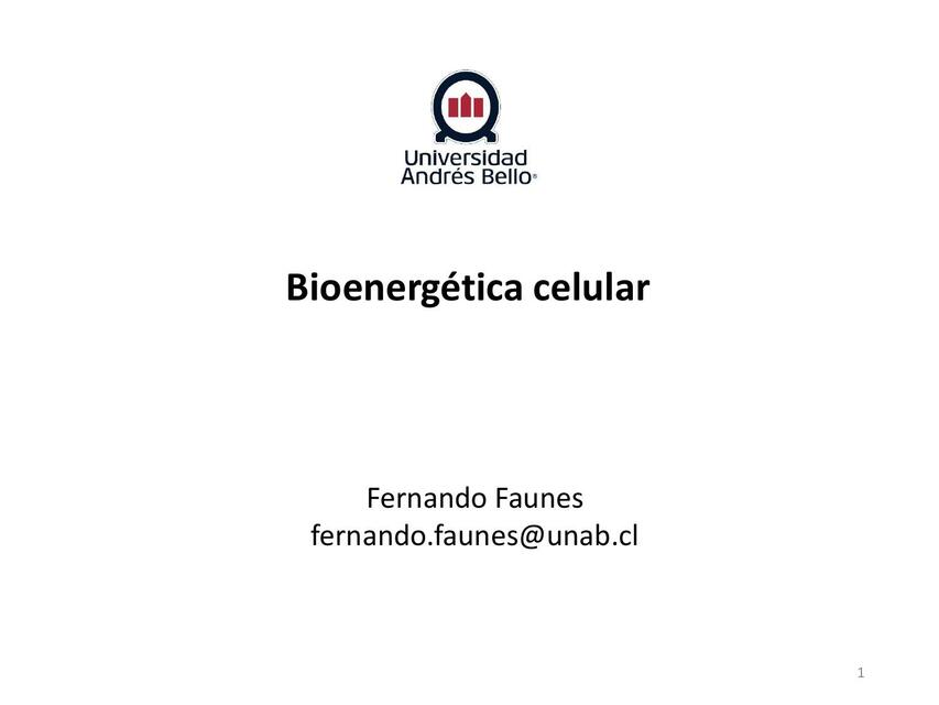 Bioenergética Celular 