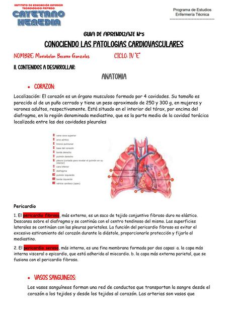 Patologías cardiovasculares