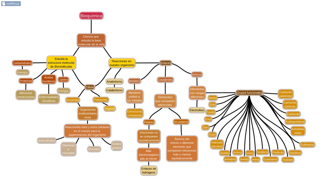 Introducción a la Bioquímica y Grupos Funcionales