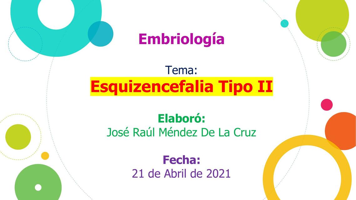 Esquizencefalia Tipo II