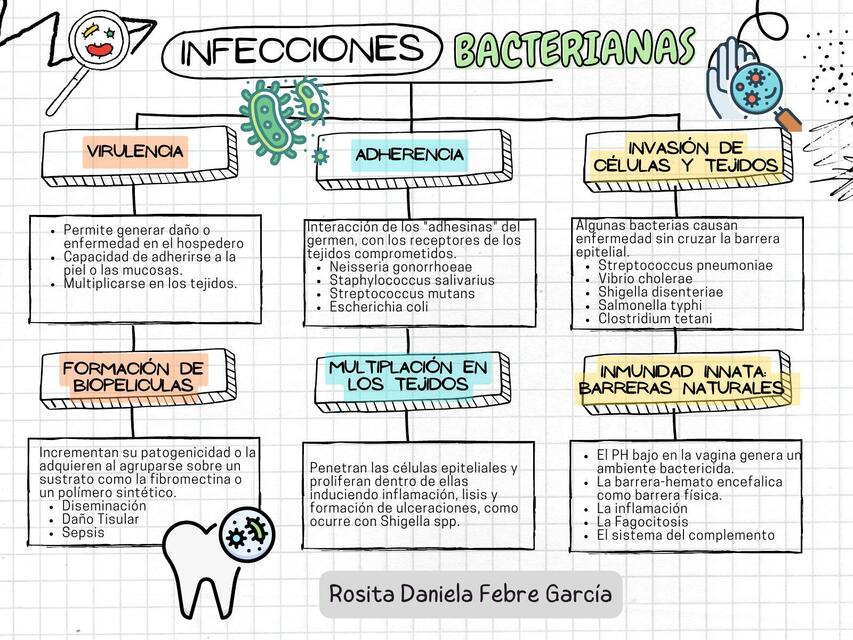 Infecciones Bacterianas y Virales