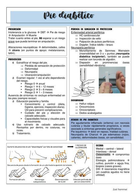 Pie Diabético