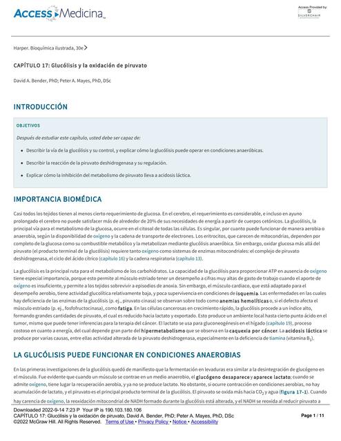 Glucólisis y la oxidación de piruvato