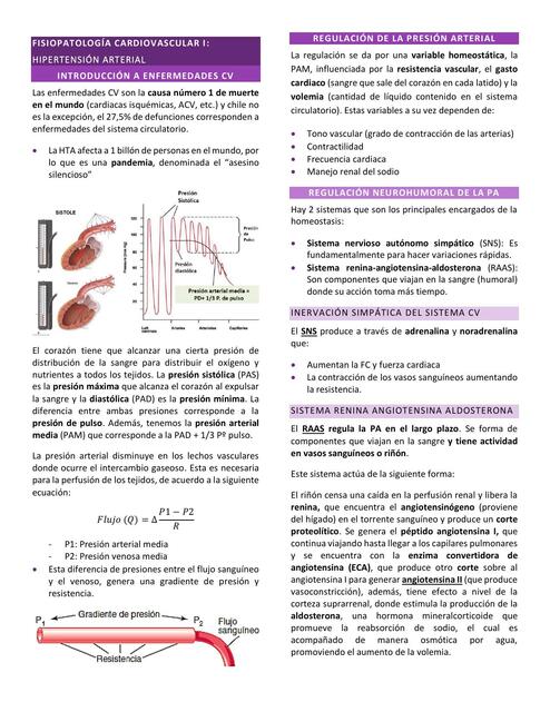 Fisiopatología Cardiovascular I