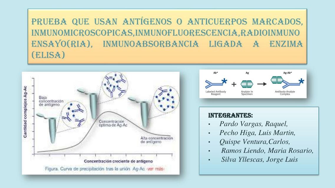 Seminario Inmunología 