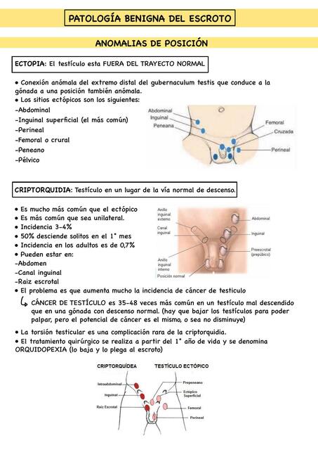 Patología Benigna de Escroto