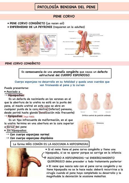 Patología Benigna en Pene