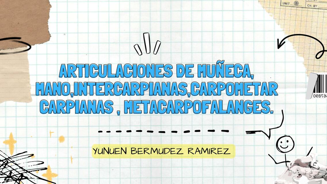 Articulaciones de la Muñeca, Mano, Intercarpianas, Carpometacarpianas, Metacarpianas  