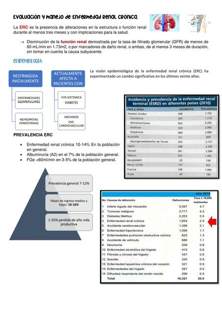 Enfermedad Renal Crónica