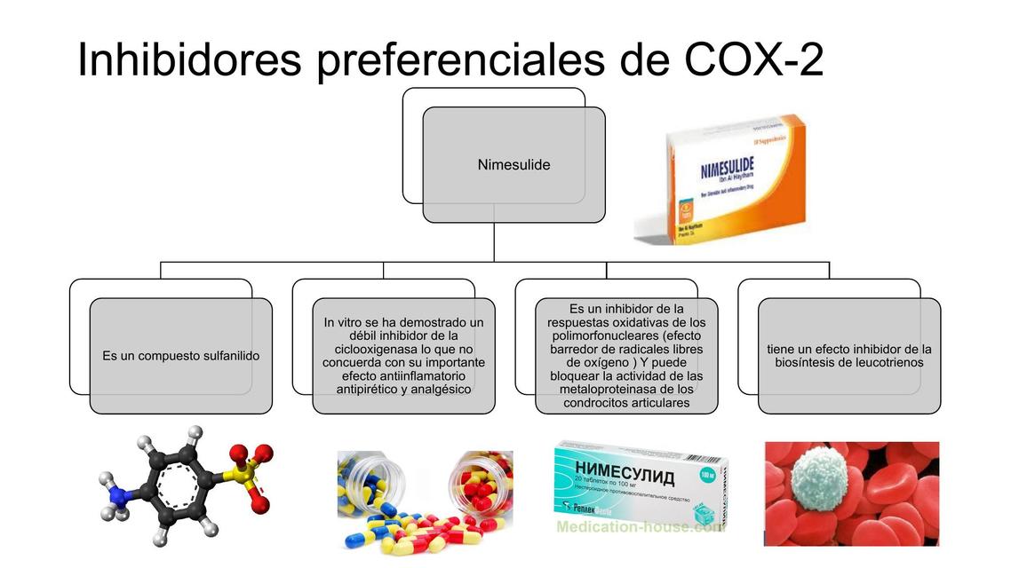 Inibidores Seletivos Da Cox 2 - RETOEDU