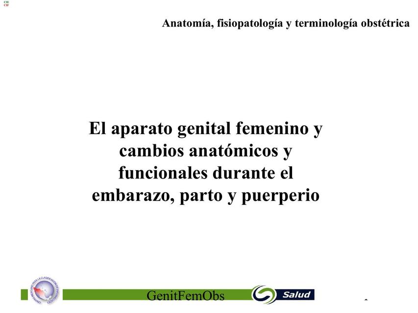 Ginecología Obstetricia