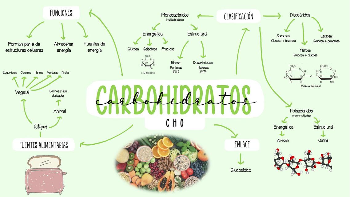 Carbohidratos