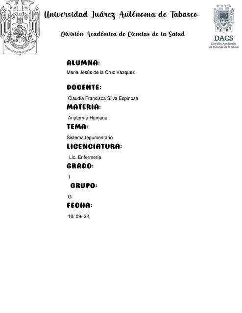 Sistema Cardiovascular 