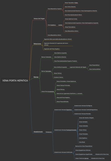 Vena Porta Hepática