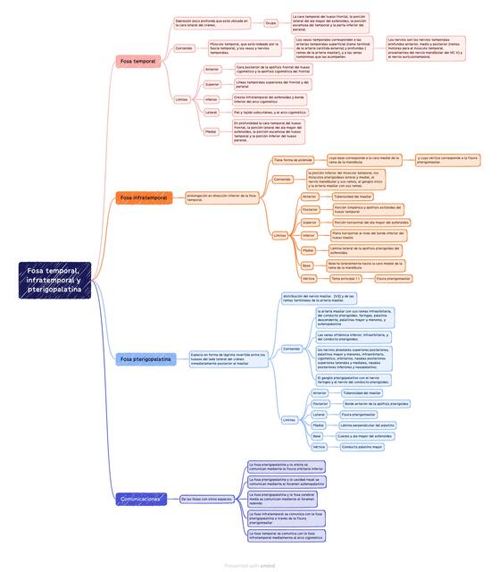 Fosa Temporal Infratemporal y Pterigopalatina