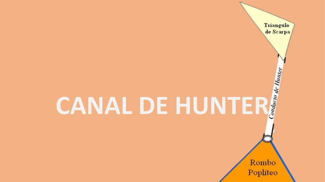 CANAL DE HUNTER