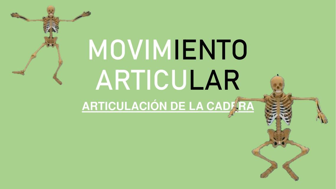 Movimiento Articular 