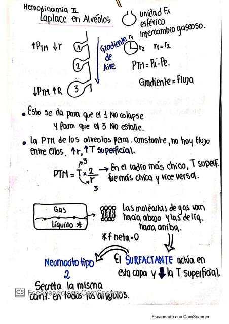 Biofísica Sistema Respiratorio