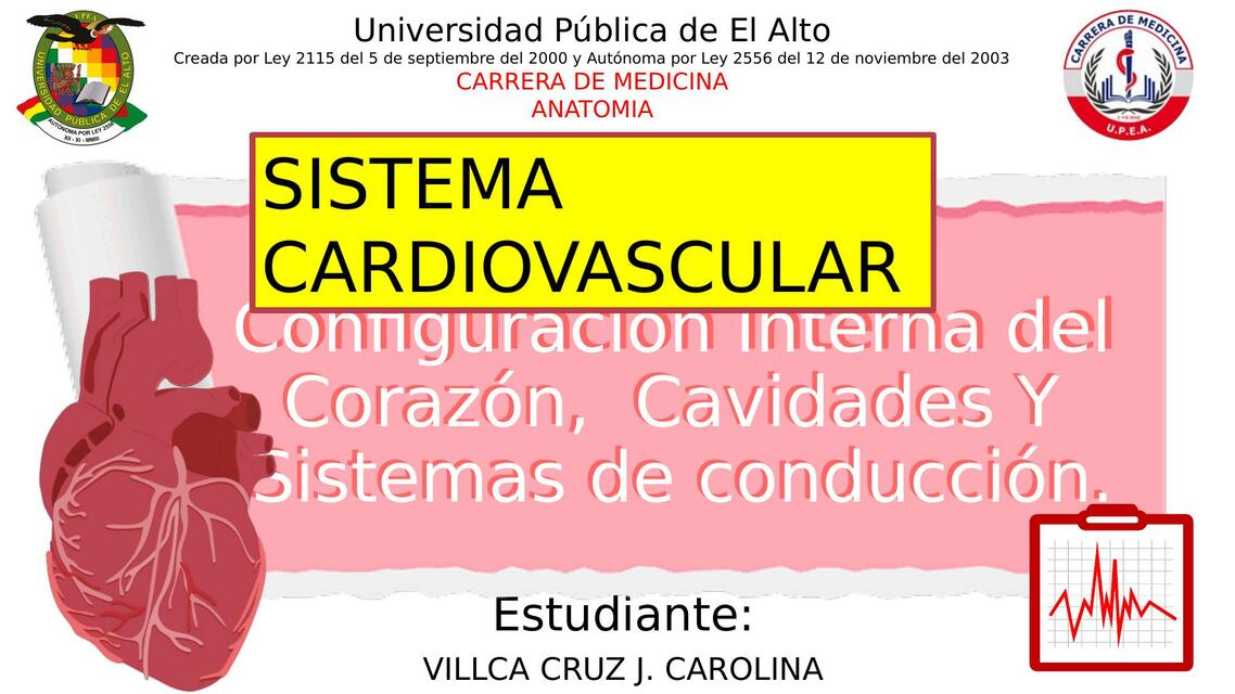 Sistema Cardiovascular 