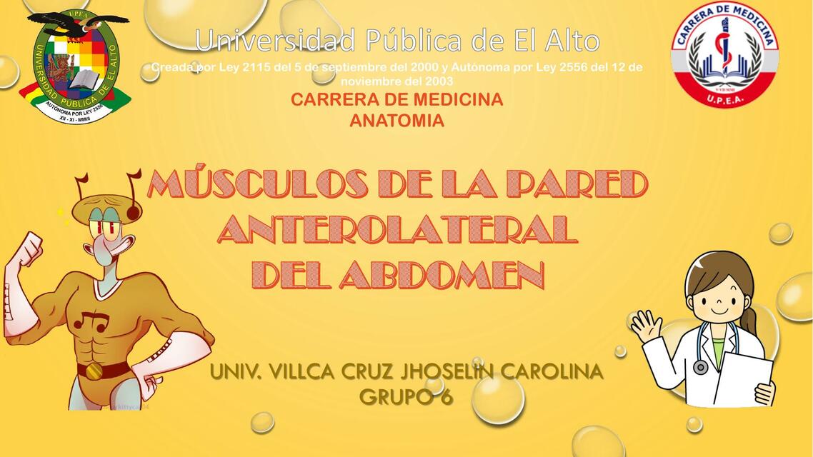 Músculos de la pared anterolateral del abdomen