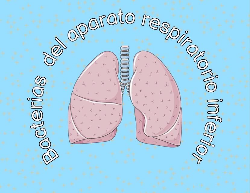 Enfermedades Bacterianas del Sistema Respiratorio Inferior