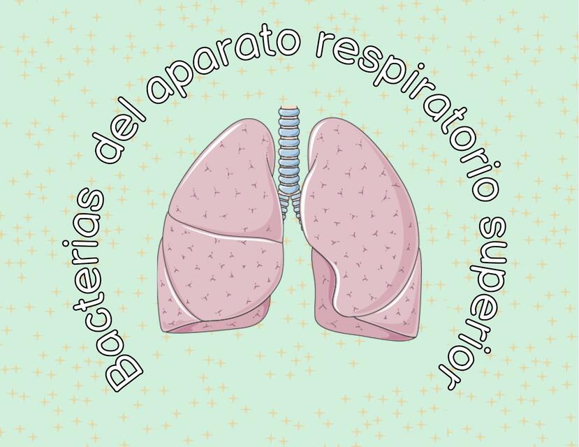 Enfermedades Bacterianas del Sistema Respiratorio Superior