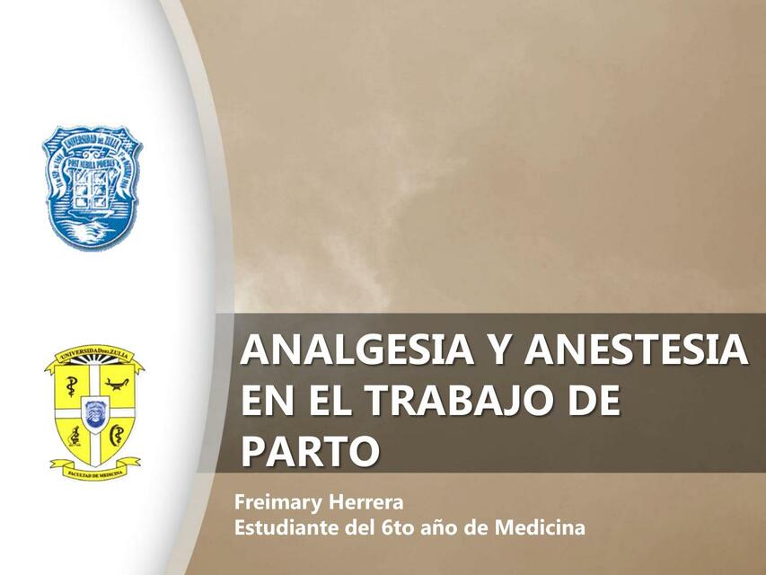 Analgesia y Anestesia en el Trabajo de Parto 