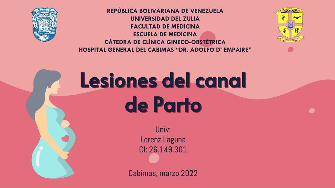 Seminario Lesiones del Canal de Parto