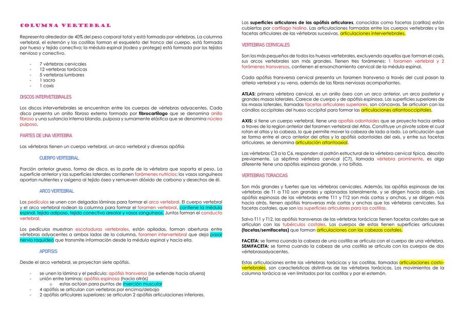 Columna Vertebral 
