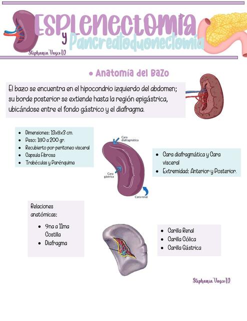 Técnico quirúrgica de esplenectomía y pancreatoduodenectomia 