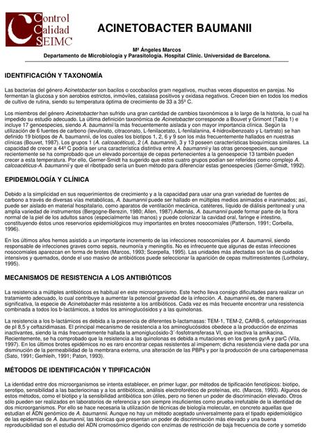 Acinetobacter baumani informacion