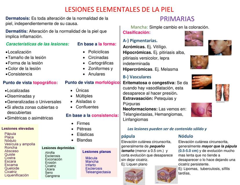 Lesiones elementales de la piel