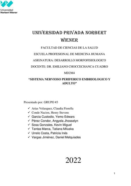 Monografía sistema periférico embriológico y anatomía normal grupo 3