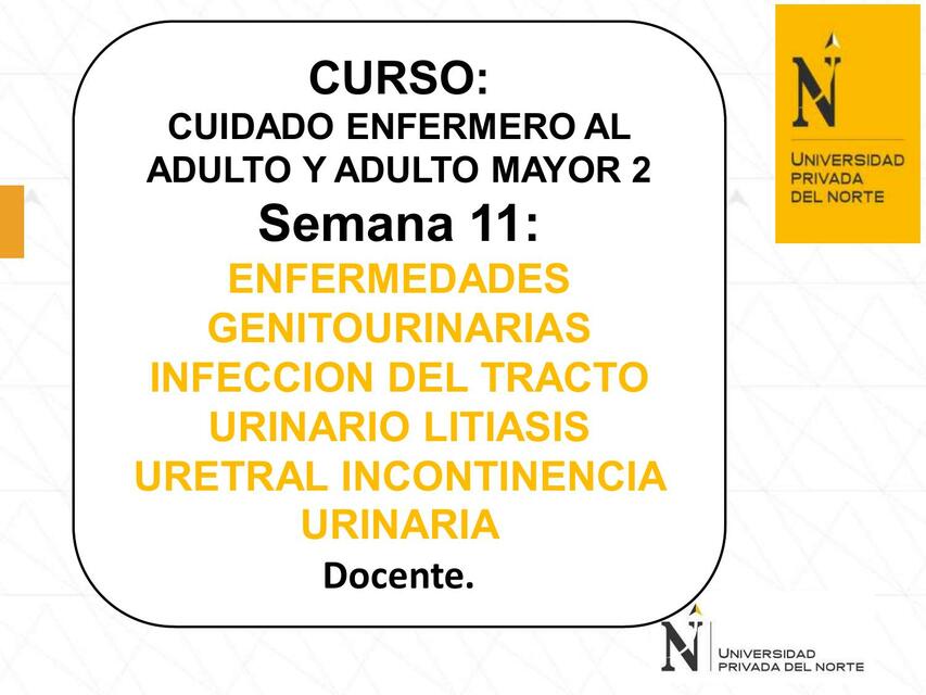 Clase semana 11 -  Infecciones genitourinarias 11