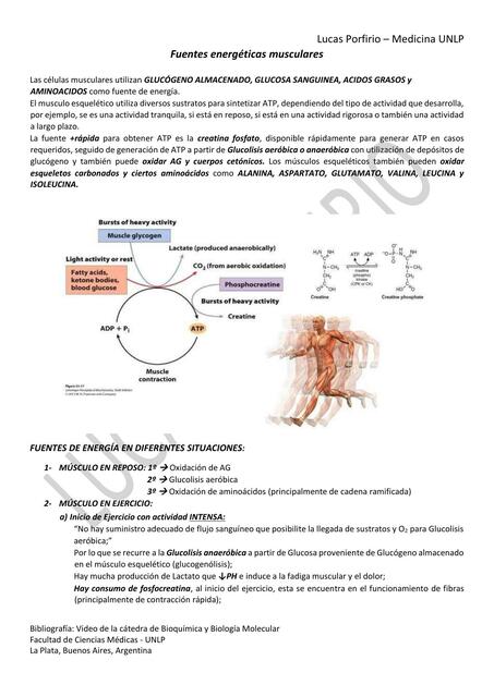 Bioquímica del ejercicio