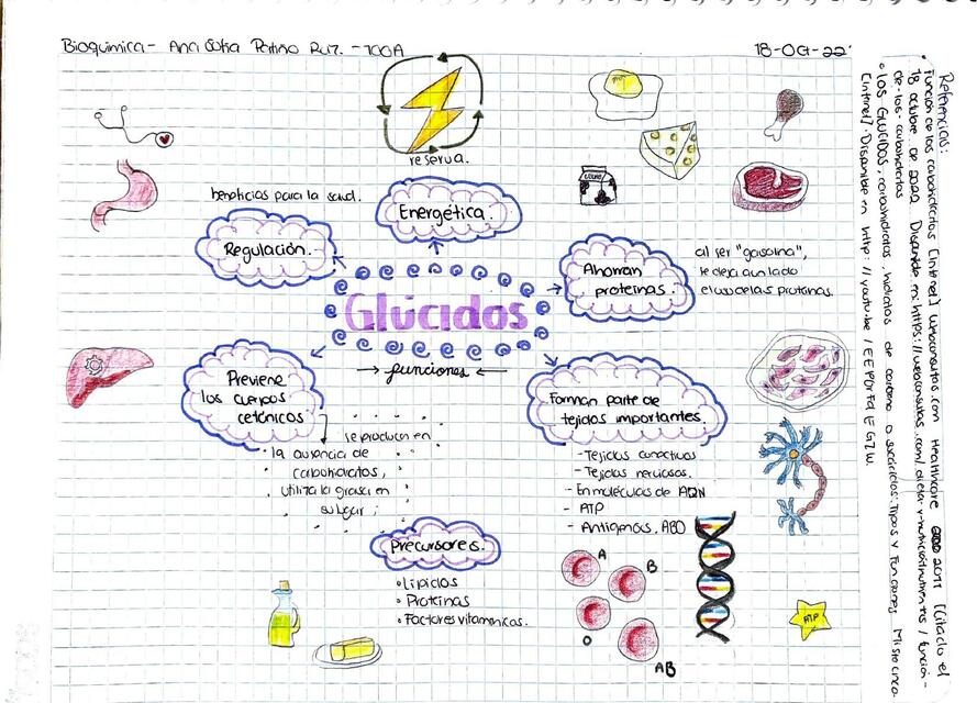 Funciones de los Glúcidos