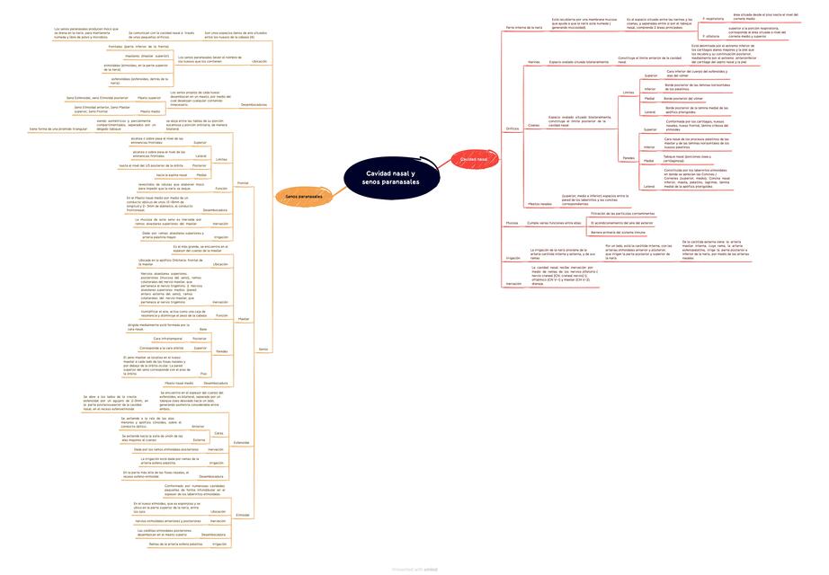 Cavidad Nasal y Senos Paranasales