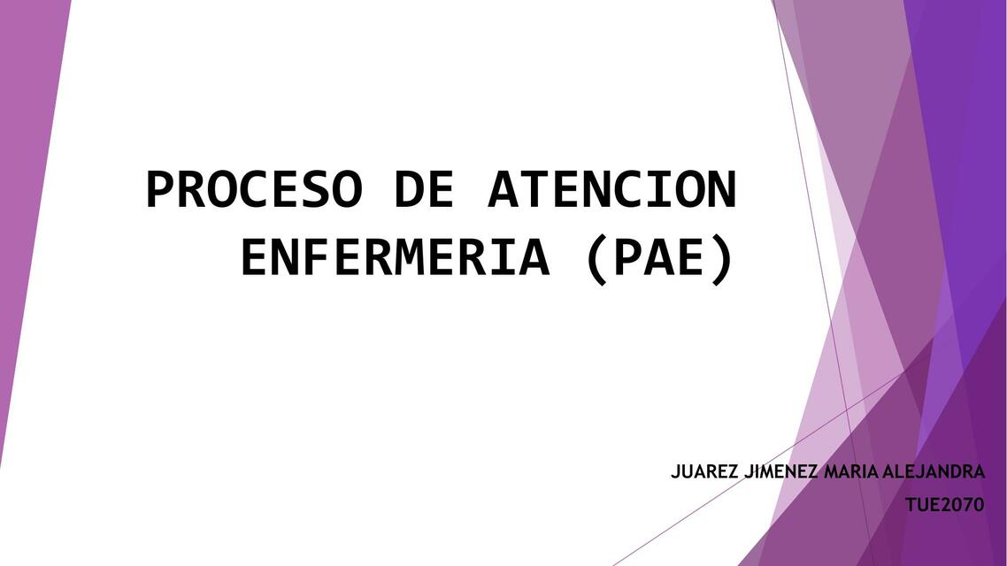 PAE - Proceso de antención enfemería