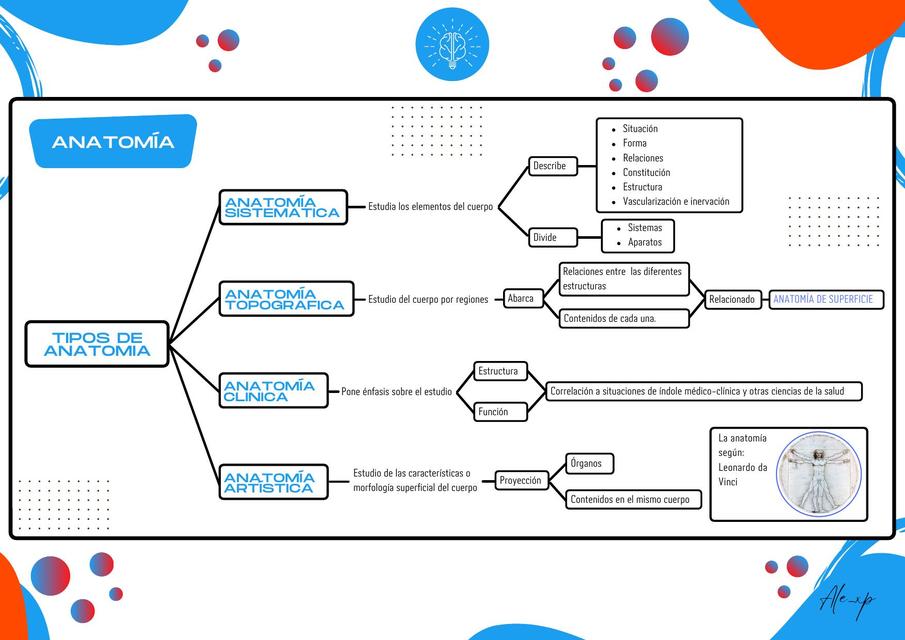 Esquema de Tipos de Anatomía