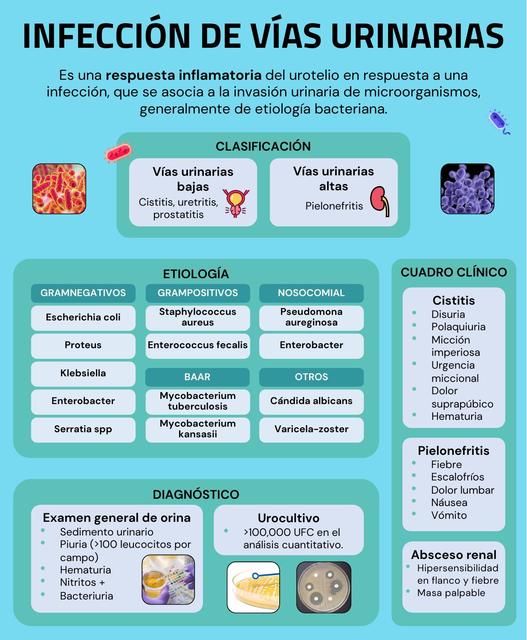 Infección de Vías Urinarias