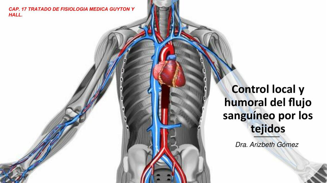 Control del flujo sanguíneo