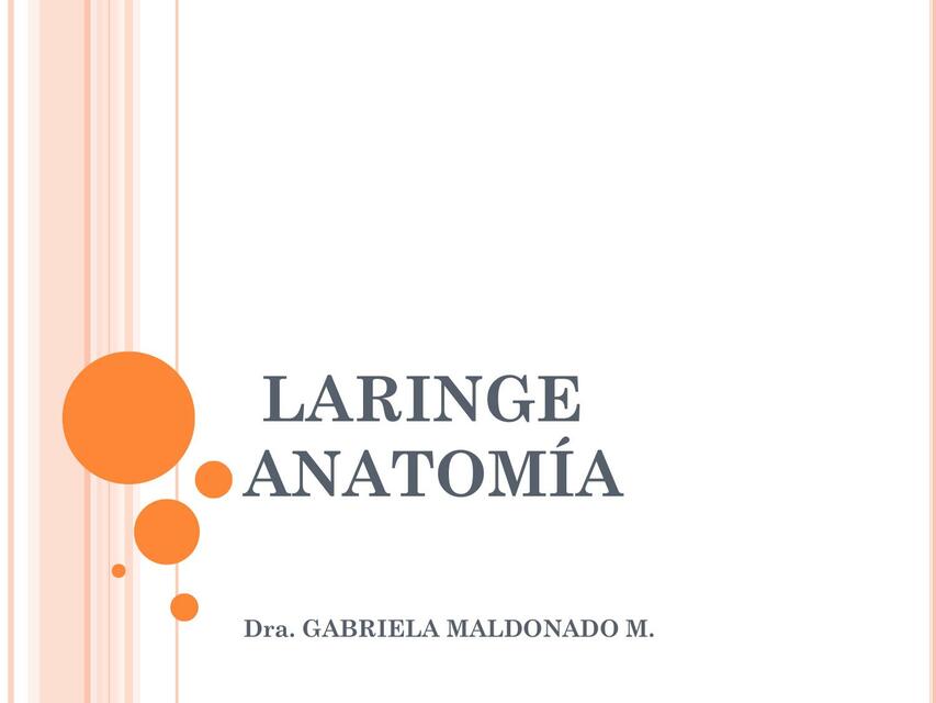 Anatomía de la Laringe 