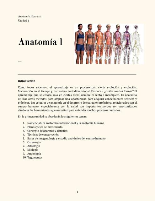 Anatomía Unidad 1