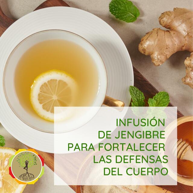 Infusión de Jengibre para Fortalecer las Defensas del Cuerpo  