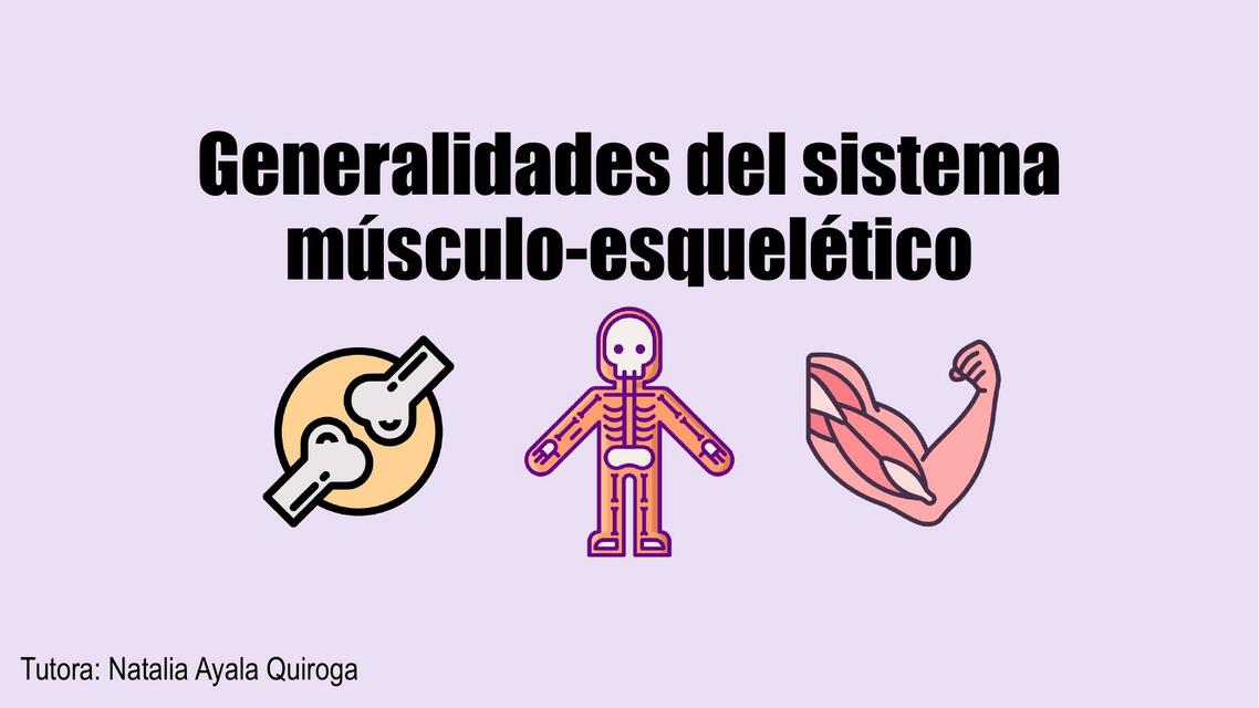 Generalidades del sistema músculo esquelético | Natalia Ayala Quiroga ...