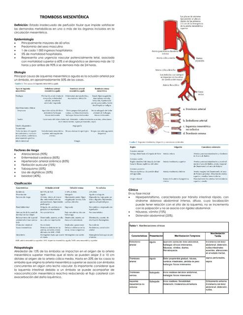 Trombosis mesentérica