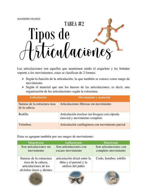 Tipos de Articulaciones 